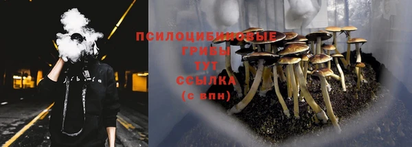 не бодяженный Верхний Тагил