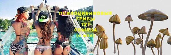 амф Верхнеуральск