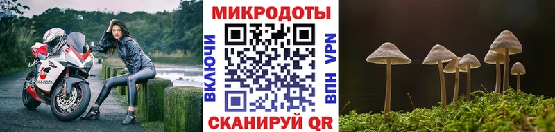 купить наркоту  Каменск-Уральский  Псилоцибиновые грибы мухоморы 
